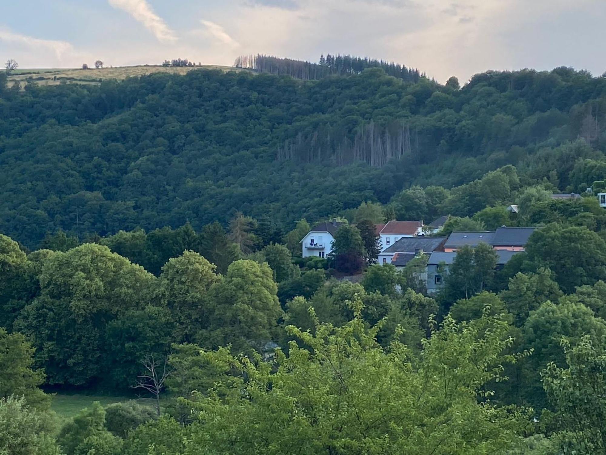 Sabine'S Gaestehaus Übereisenbach Eksteriør bilde