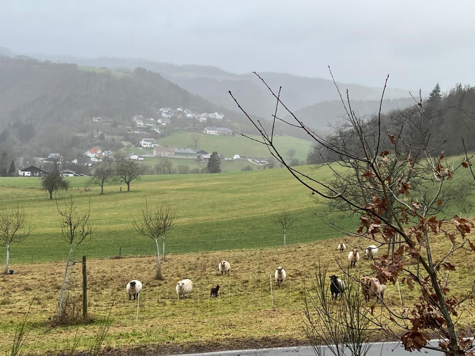 Sabine'S Gaestehaus Übereisenbach Eksteriør bilde